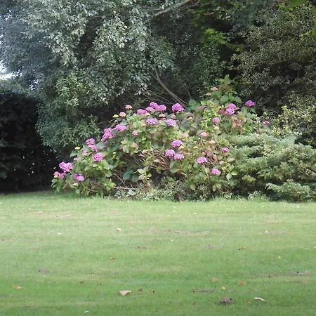 Bed and Breakfast Dun Aonghus Kildare