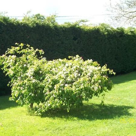 Dun Aonghus Frühstückspension 3*